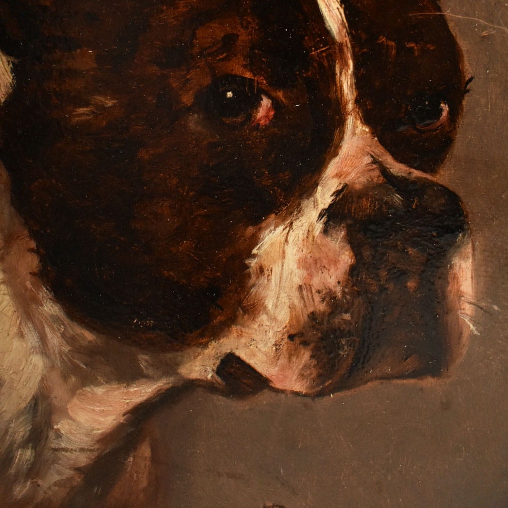 QA795 5a antique oil painting dogs portraits painting XIX